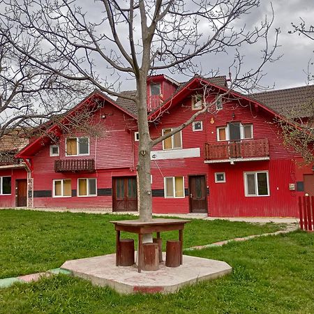 Pensiunea Irina 3 Zărneşti Exteriör bild