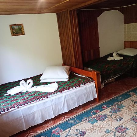 Pensiunea Irina 3 Zărneşti Exteriör bild