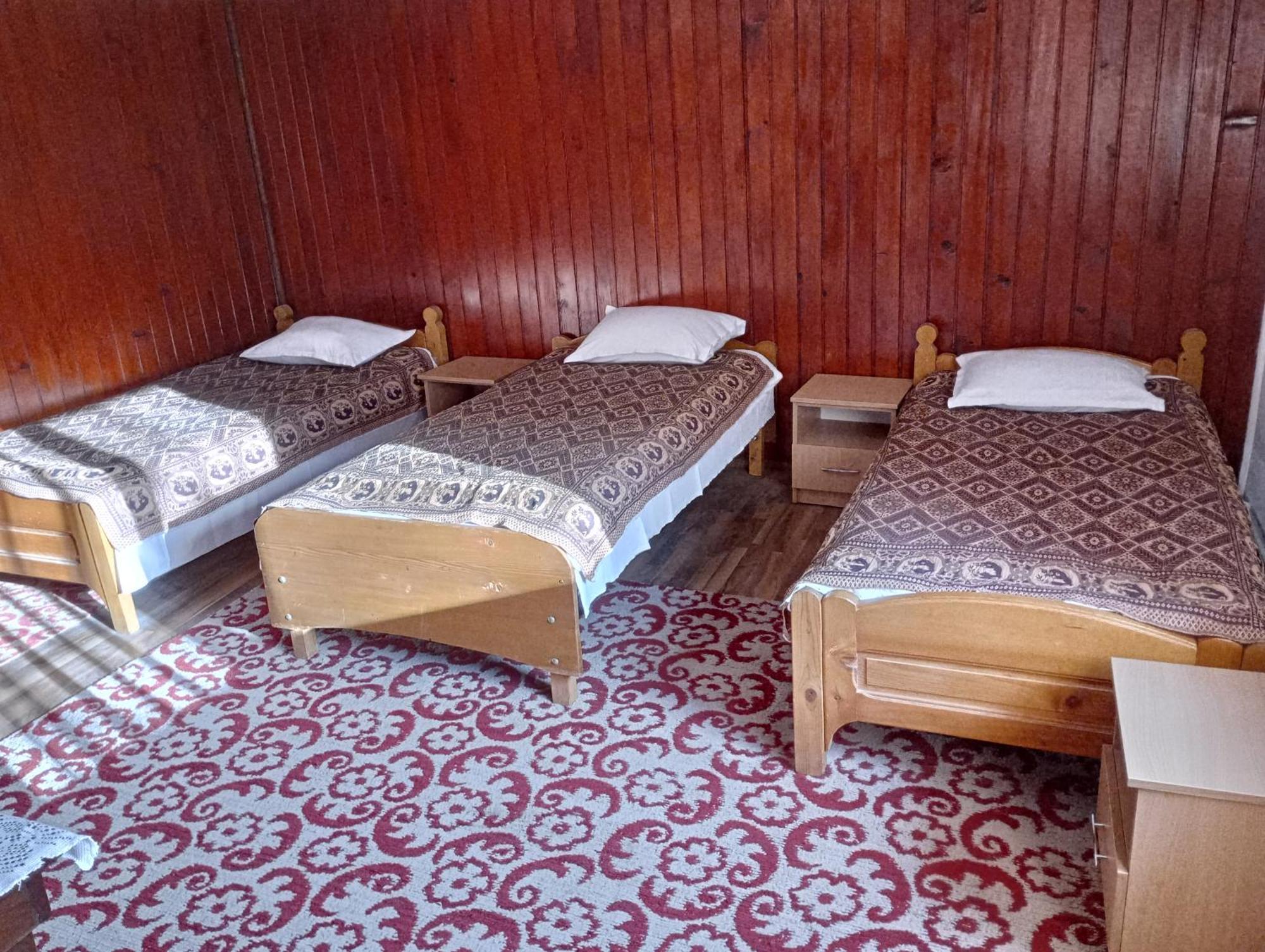 Pensiunea Irina 3 Zărneşti Exteriör bild