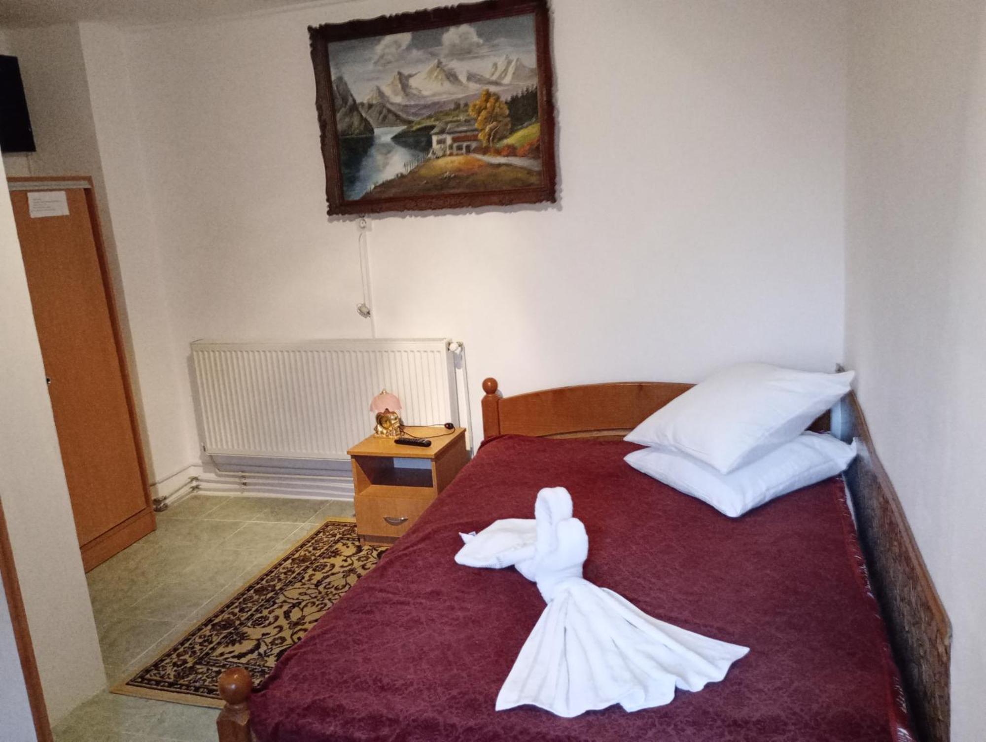 Pensiunea Irina 3 Zărneşti Exteriör bild