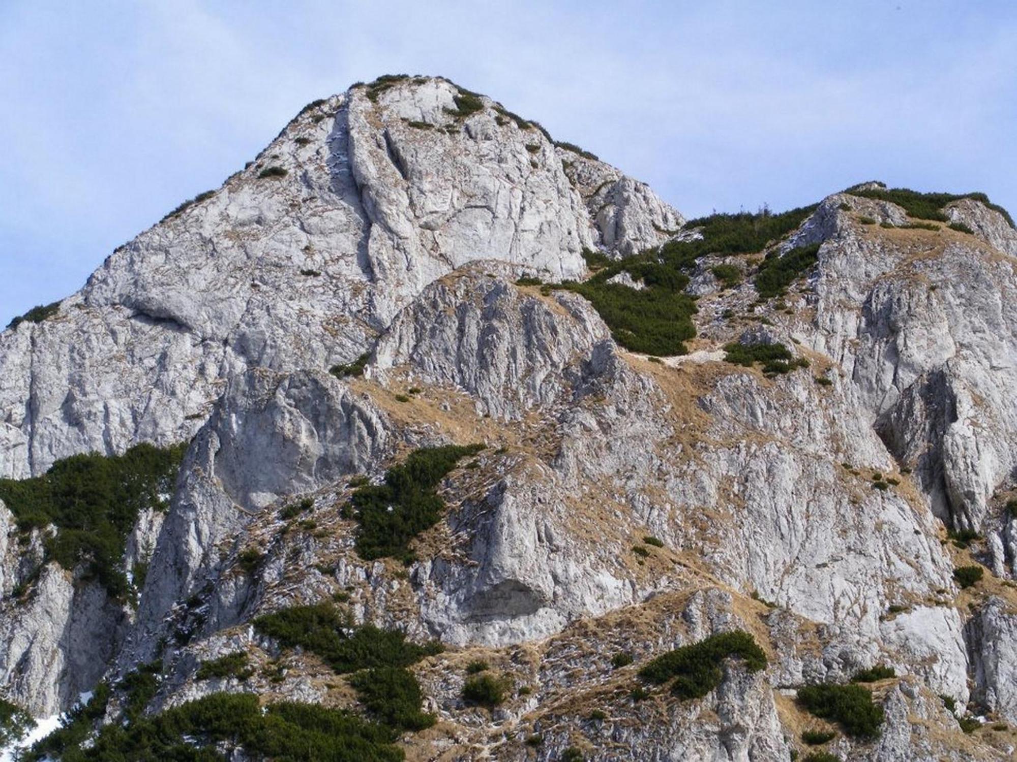 Pensiunea Irina 3 Zărneşti Exteriör bild