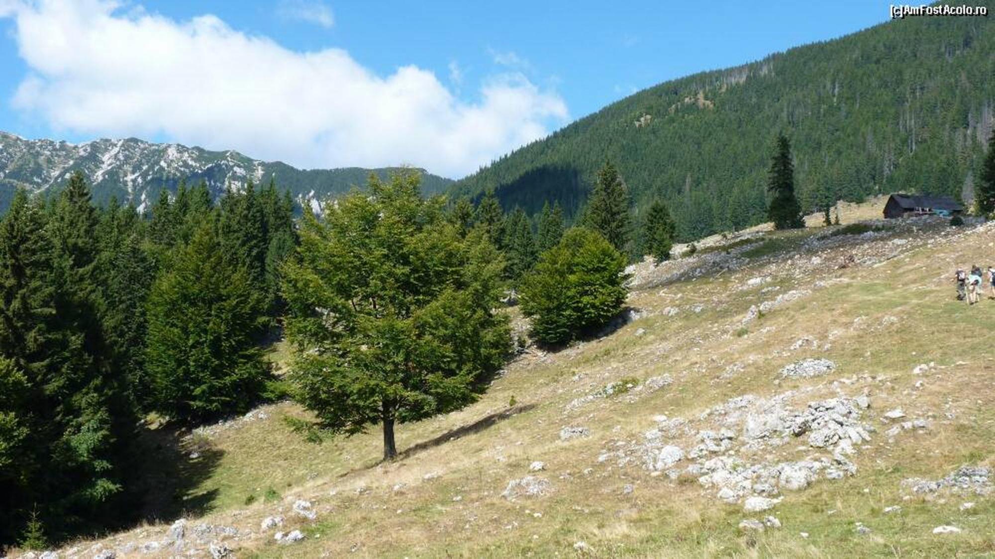 Pensiunea Irina 3 Zărneşti Exteriör bild