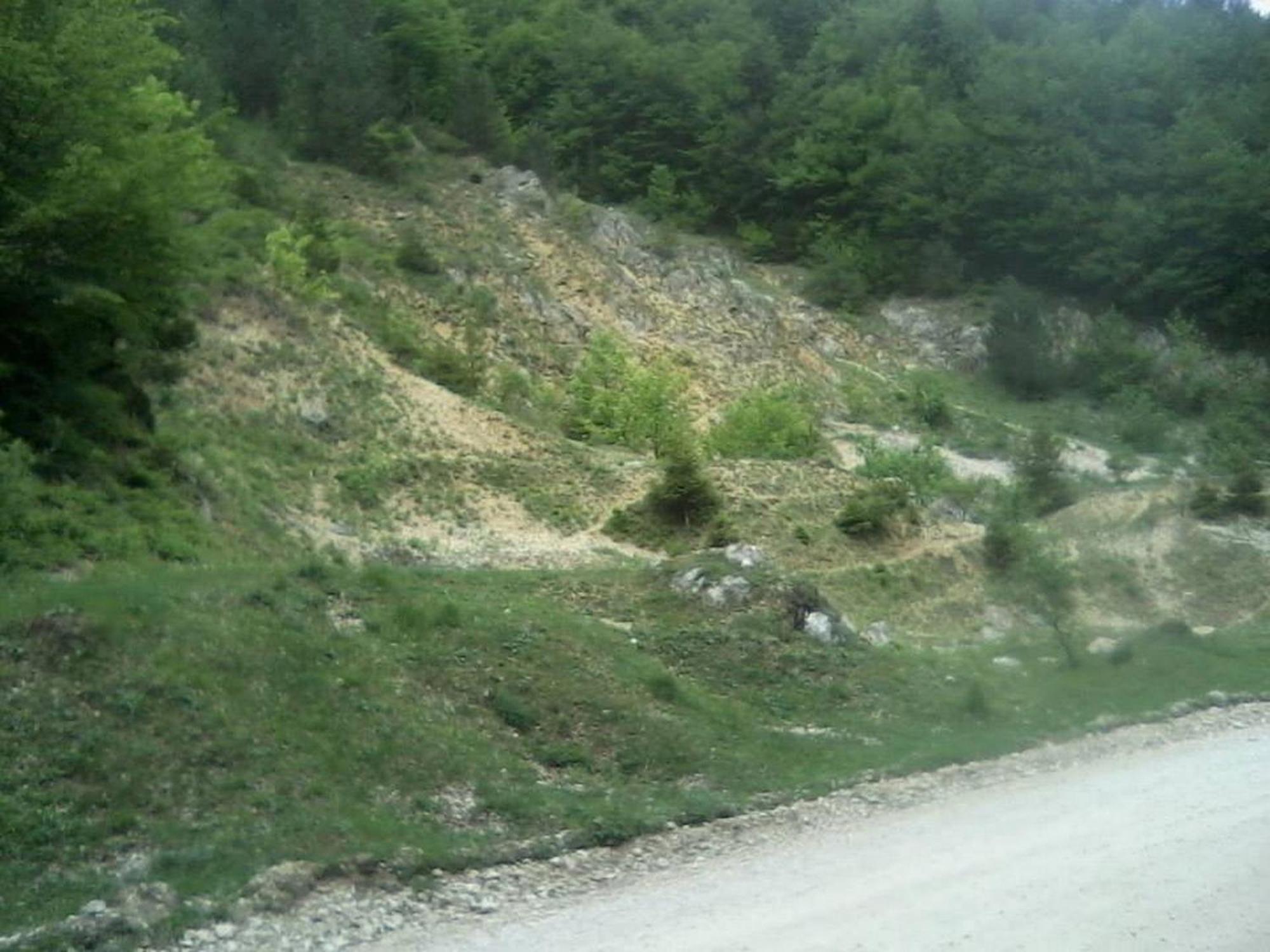 Pensiunea Irina 3 Zărneşti Exteriör bild