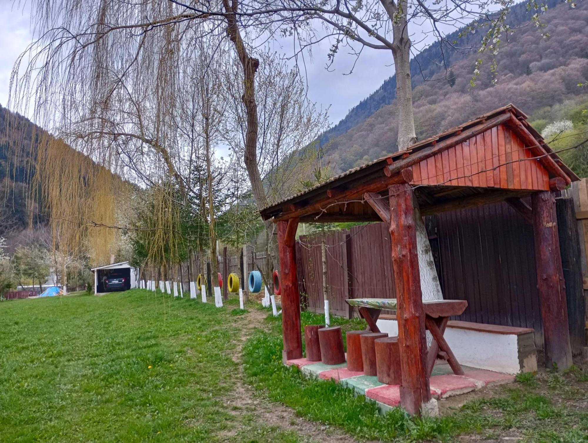 Pensiunea Irina 3 Zărneşti Exteriör bild