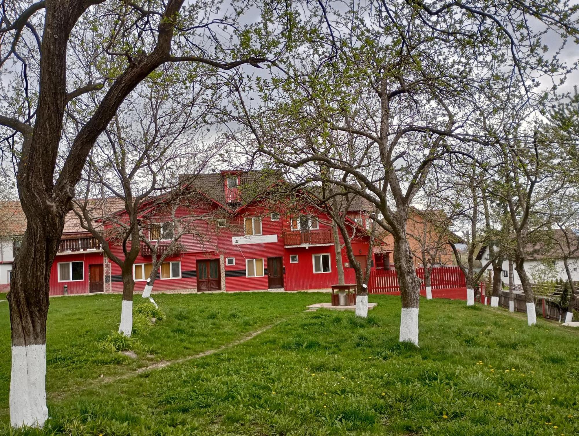 Pensiunea Irina 3 Zărneşti Exteriör bild