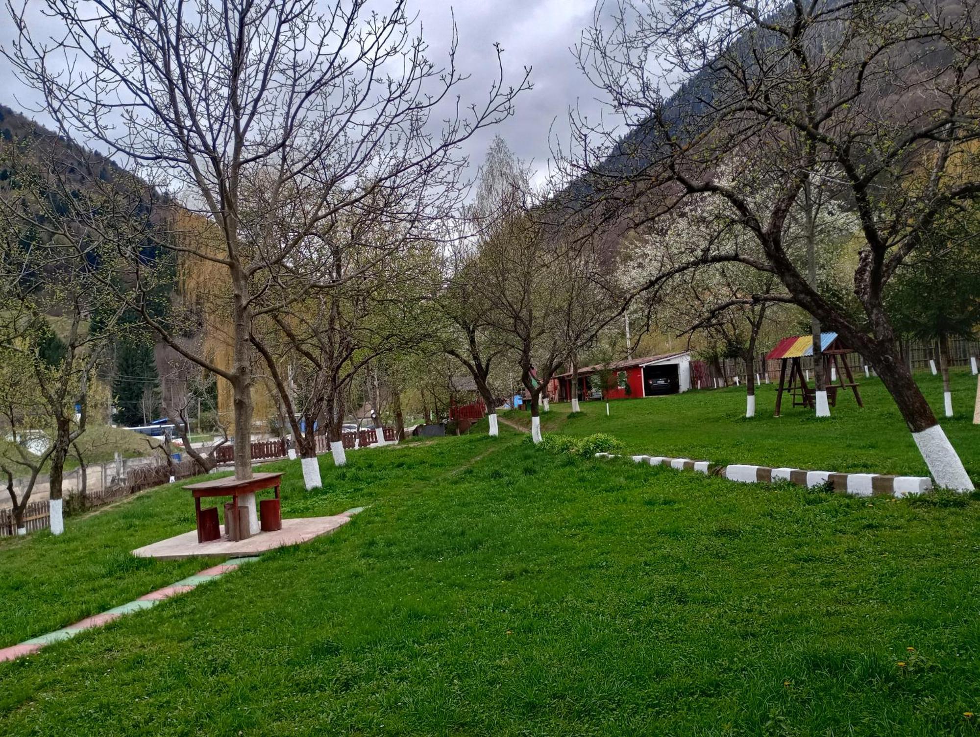 Pensiunea Irina 3 Zărneşti Exteriör bild