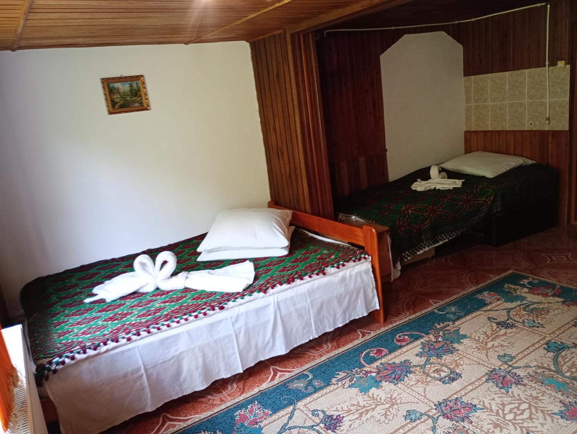 Pensiunea Irina 3 Zărneşti Exteriör bild